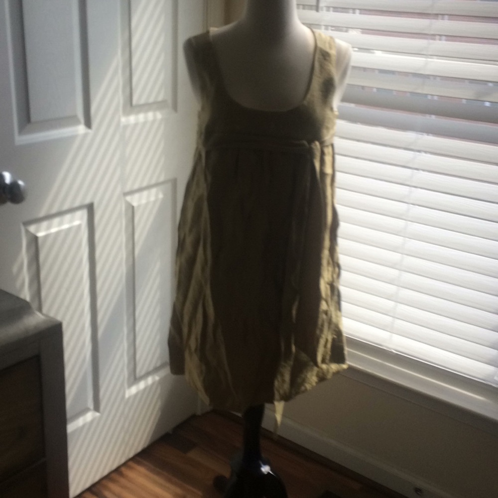 Dress (The Limited)